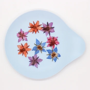 60 adet Preslenmiş Kurutulmuş Hodan Çiçek Bitki Herbaryum Tırnak Sanat Yüz Takı Çantası Imi Invatation Kartı DIY Yapma